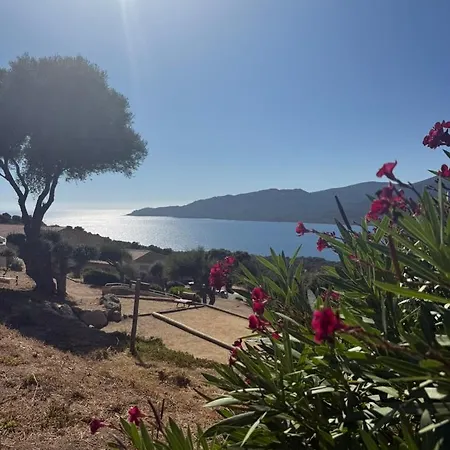 Mini-villa 4 Personnes - Solea 83 - Vue Nature